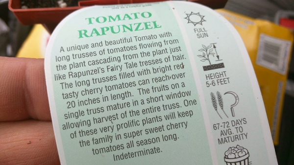Как вырастить помидор Рапунцель – секреты необычного сорта с роскошными, красочными томатными косами